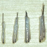 Haartransplantation: Die Follikuläre Einheiten gegliedert in 1 er, 2 er, 3 er, 4 er Follikel