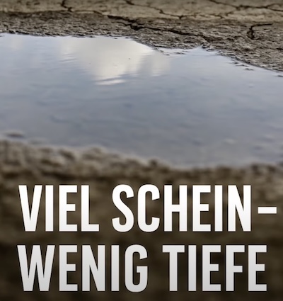 Social Media Postings of nur für Aufmerksamkeit - viel Schwein, aber wenig Tiefe - Hairforlife.ch