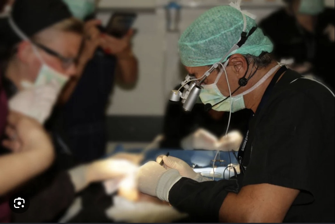 Hairforlife.ch – fachliche Zusammenarbeit mit Ärzten und Kliniken für Haartransplantationen